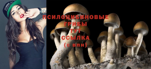 mdpv Бугульма