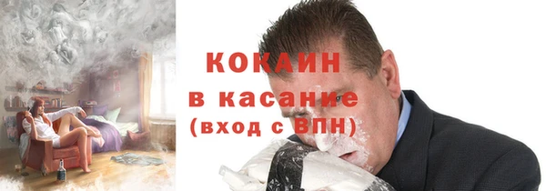 мдпв Бородино