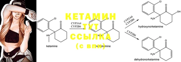 первитин Новодвинск