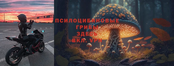мдпв Бородино