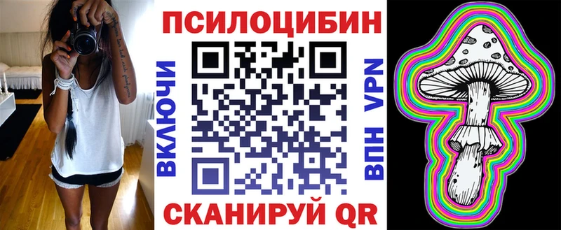 Галлюциногенные грибы Psilocybine cubensis  OMG зеркало  Новоржев  купить наркоту 