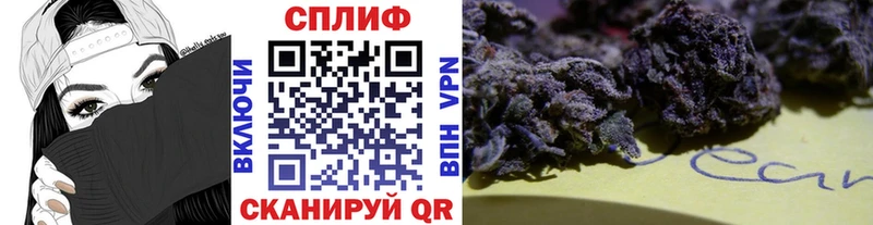 Конопля Bruce Banner Новоржев
